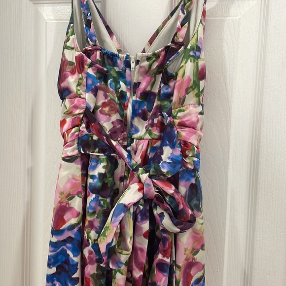 Vibrant Ruby Rox garden flower impressionist dress size 3 Juniors - Picture 9 of 9